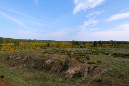 Döberitzer Heide Ferbitzer Bruch game reserve 2020-05-08 01