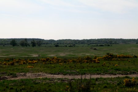 Döberitzer Heide Ferbitzer Bruch 2020-05-08 21