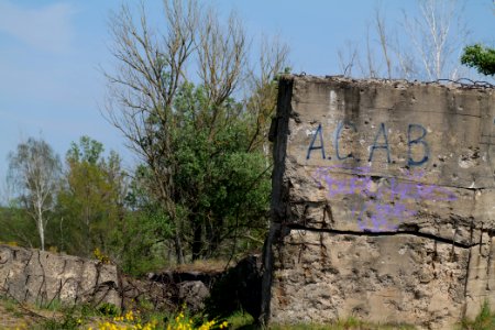 Döberitzer Heide Ferbitzer Bruch 2020-05-08 43