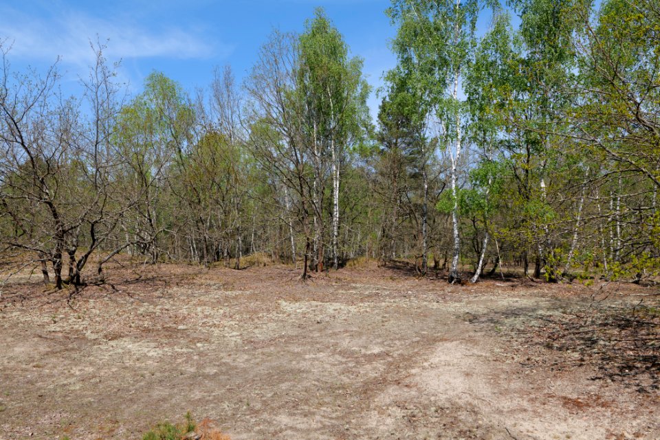 Döberitzer Heide 2020-05-08 39