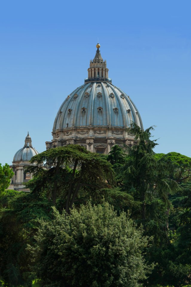 Dôme Saint-Pierre vu des jardins Vatican 5