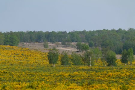 Döberitzer Heide Ferbitzer Bruch game reserve 2020-05-08 09