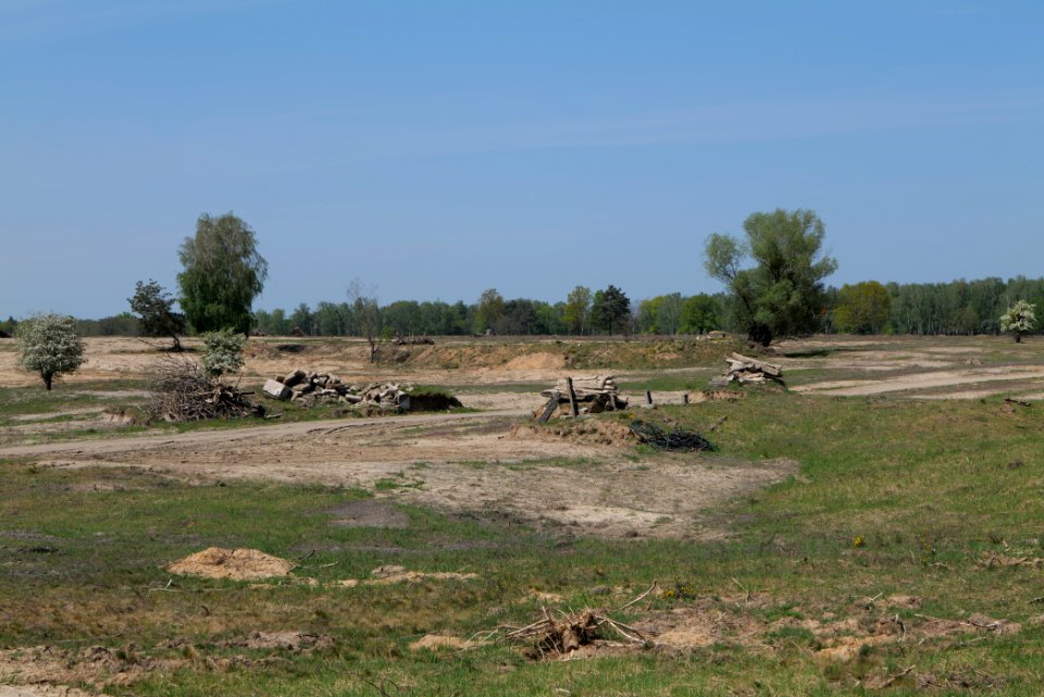 Döberitzer Heide open landscape 2020-05-08 144
