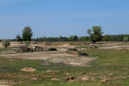 Döberitzer Heide open landscape 2020-05-08 144