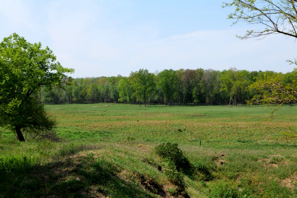 Döberitzer Heide open landscape 2020-05-08 121