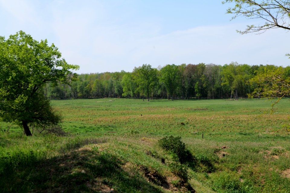 Döberitzer Heide open landscape 2020-05-08 123
