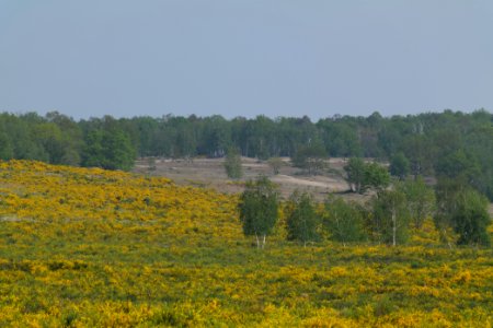 Döberitzer Heide Ferbitzer Bruch game reserve 2020-05-08 18