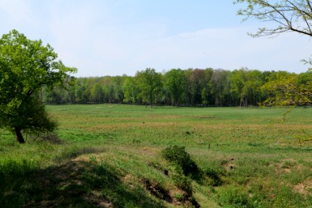 Döberitzer Heide open landscape 2020-05-08 120