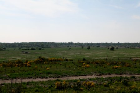 Döberitzer Heide Ferbitzer Bruch 2020-05-08 20