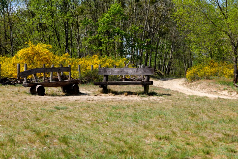 Döberitzer Heide 2020-05-08 16
