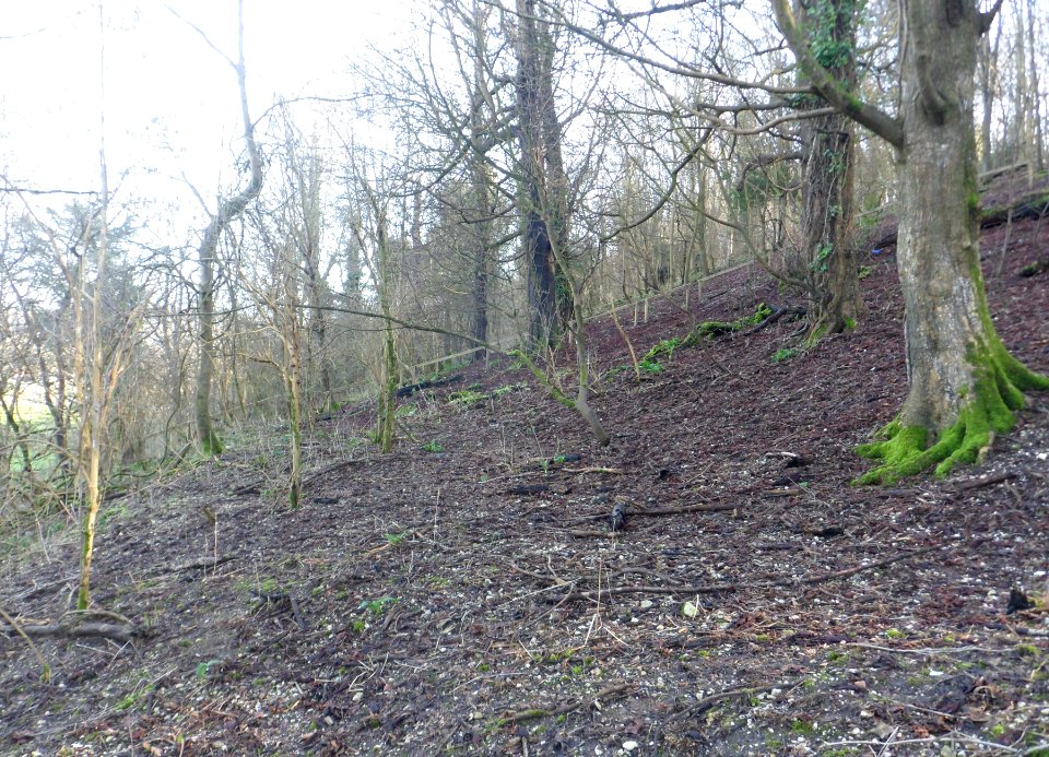 Coney Hill, Patcham, Brighton (February 2014) (1)