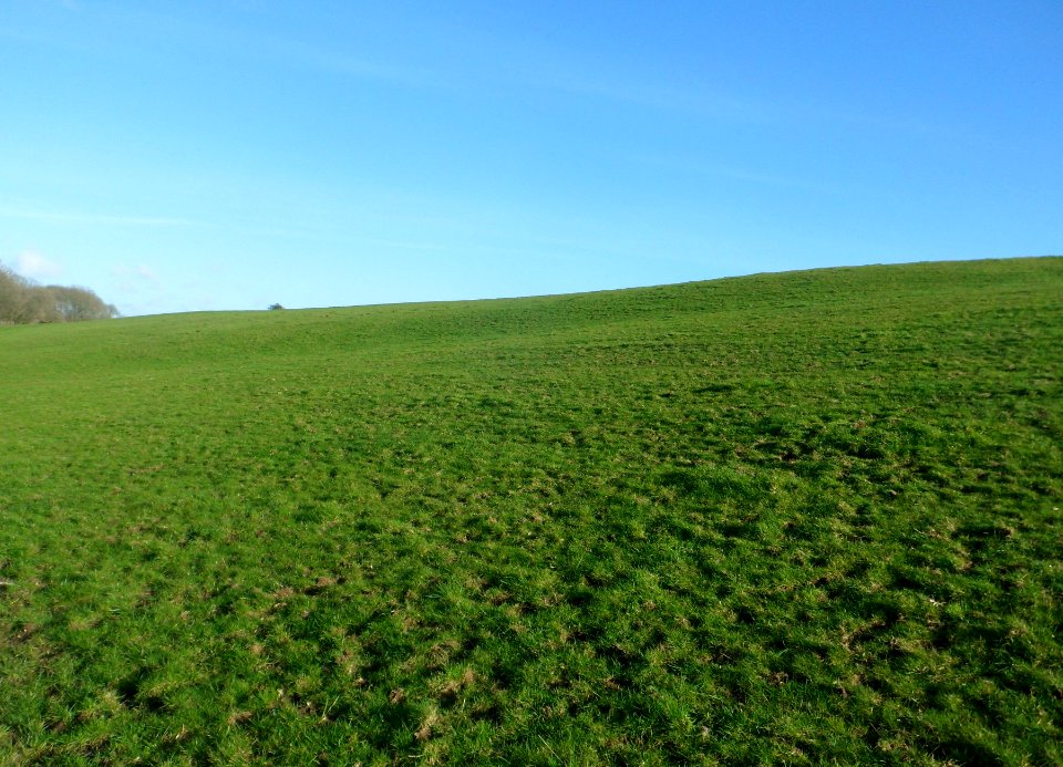 Coney Hill, Patcham, Brighton (February 2014) (4)