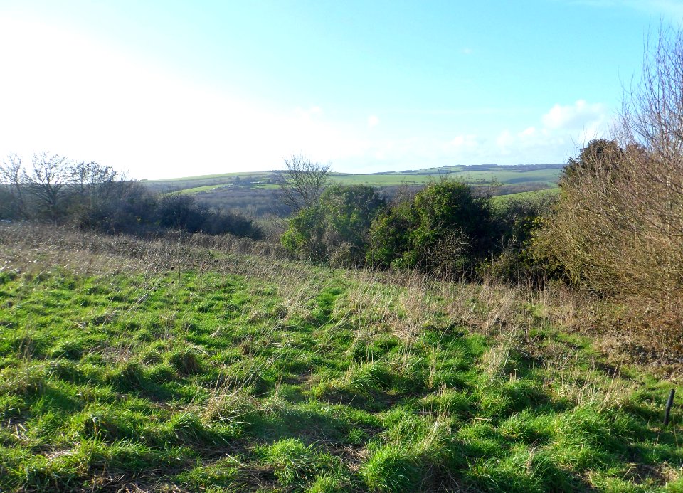 Coney Hill, Patcham, Brighton (February 2014) (6)