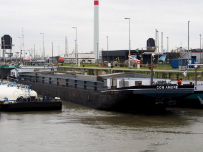 Con Amore (ship, 1956) ENI 02324053 Boudewijnsluis Port of Antwerp pic1