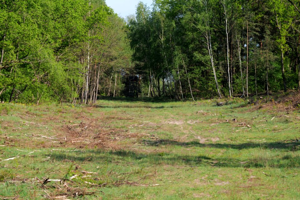 Döberitzer Heide 2020-05-08 30
