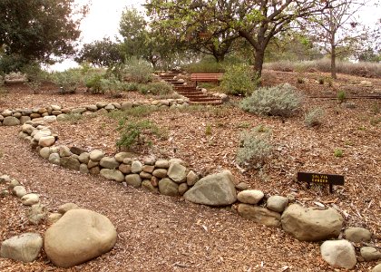 Conejo valley botanical gardens salvia garden