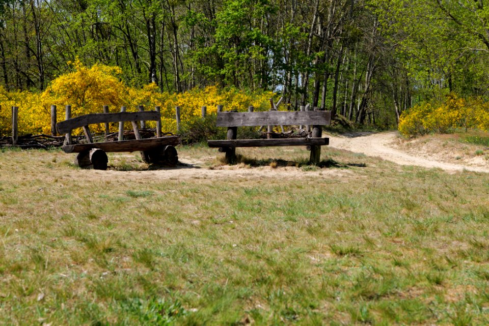 Döberitzer Heide 2020-05-08 17