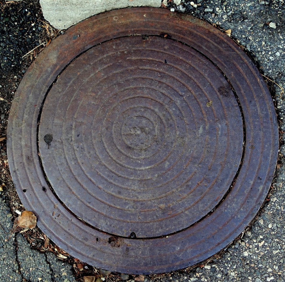 Concentric rings - Arlington, MA - DSC03260