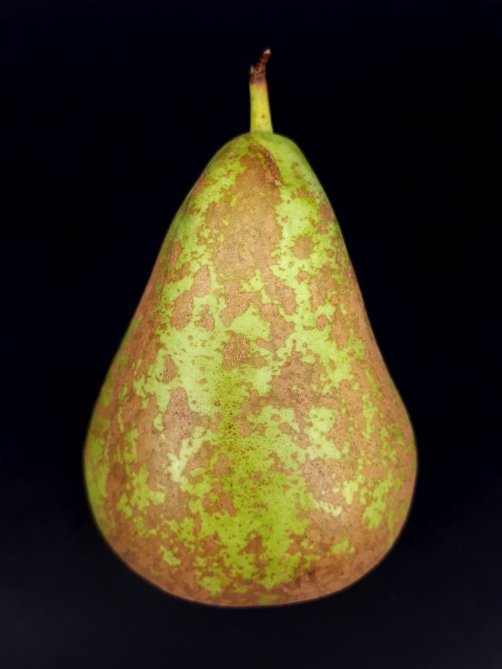 Conference pear 2017 B2