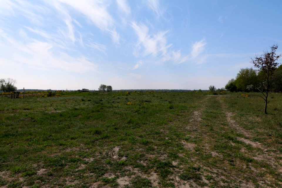 Döberitzer Heide Ferbitzer Bruch 2020-05-08 14