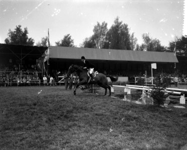 Concours Hippique te Rotterdam, Bestanddeelnr 912-8842