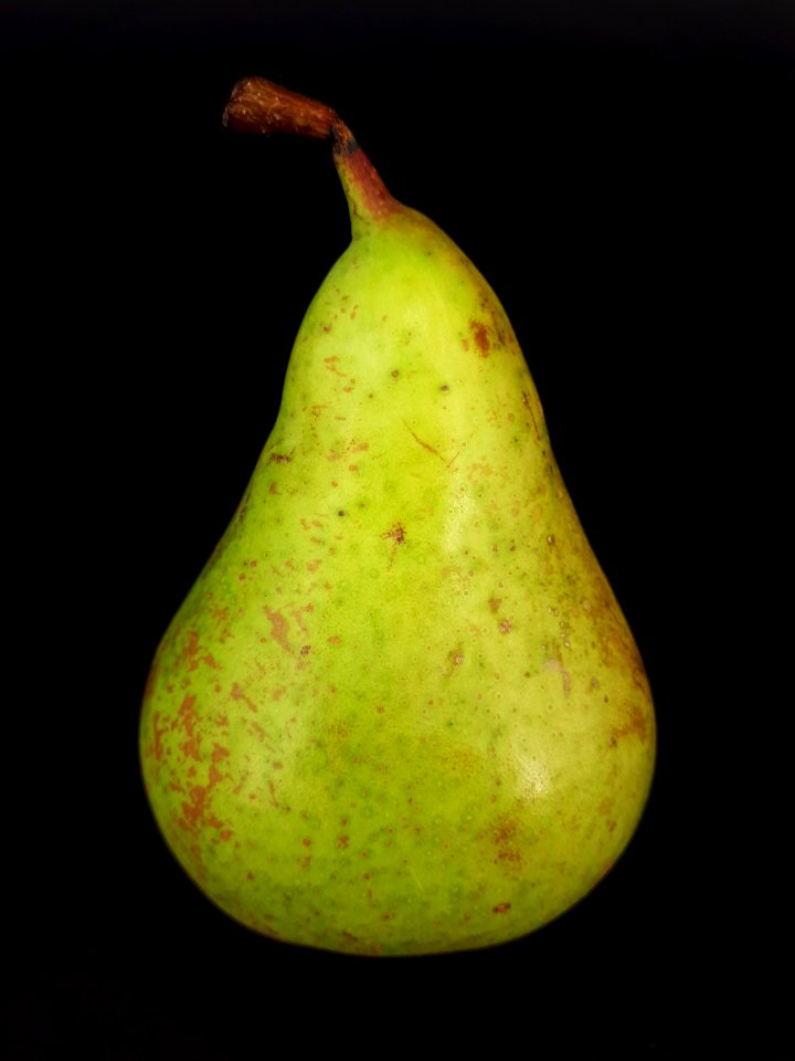 Conference pear 2017 A2