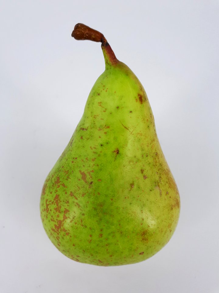 Conference pear 2017 A1