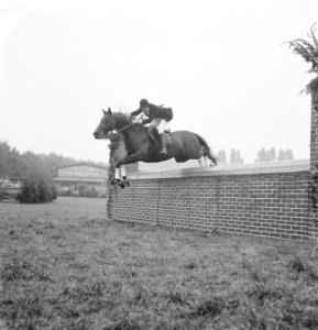 Concours Hippique te Rotterdam, Bestanddeelnr 912-8850
