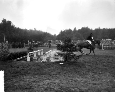 Concours Hippique te Rotterdam, Bestanddeelnr 912-8844