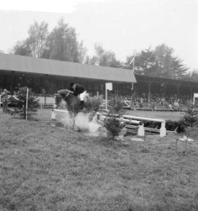 Concours Hippique te Rotterdam, Bestanddeelnr 912-8849