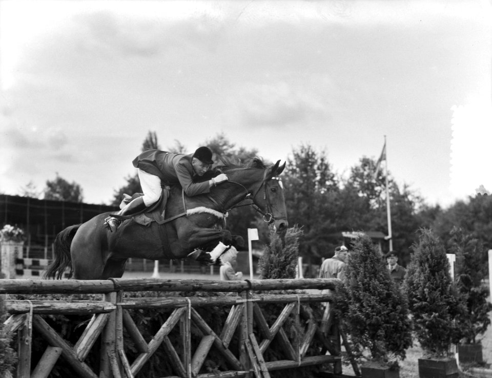 Concours Hippique Rotterdam. J. Rijks, Bestanddeelnr 905-2929