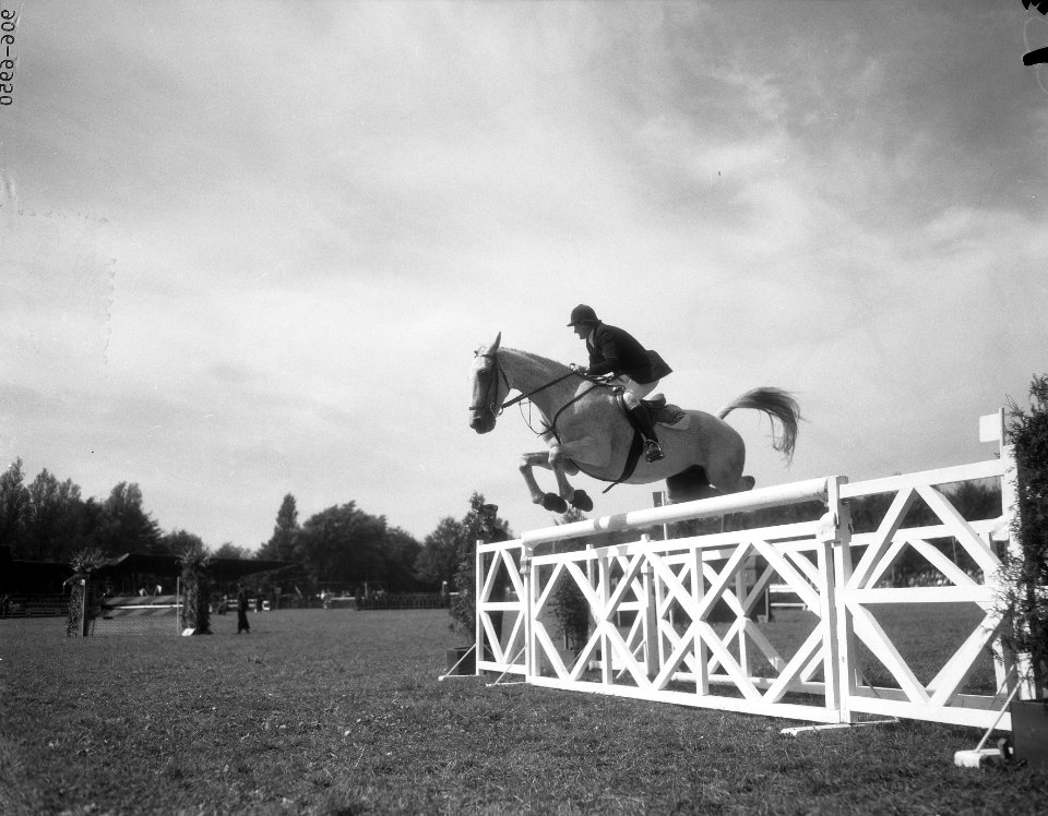 Concours Hippique Rotterdam, eerste dag, Bestanddeelnr 906-6950