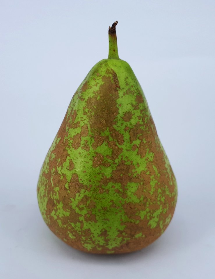 Conference pear 2017 B1