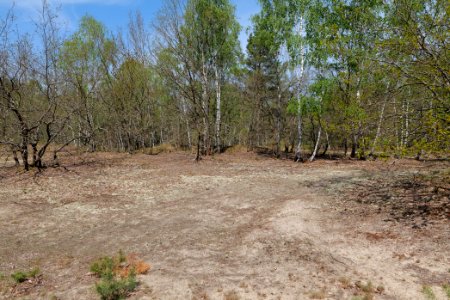 Döberitzer Heide 2020-05-08 40
