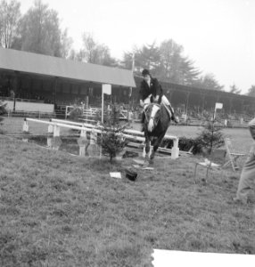 Concours Hippique te Rotterdam, Bestanddeelnr 912-8848