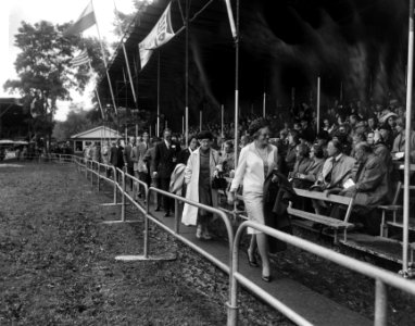 Concours Hippique te Rotterdam, aankomst Koninklijke familie, Bestanddeelnr 918-1433