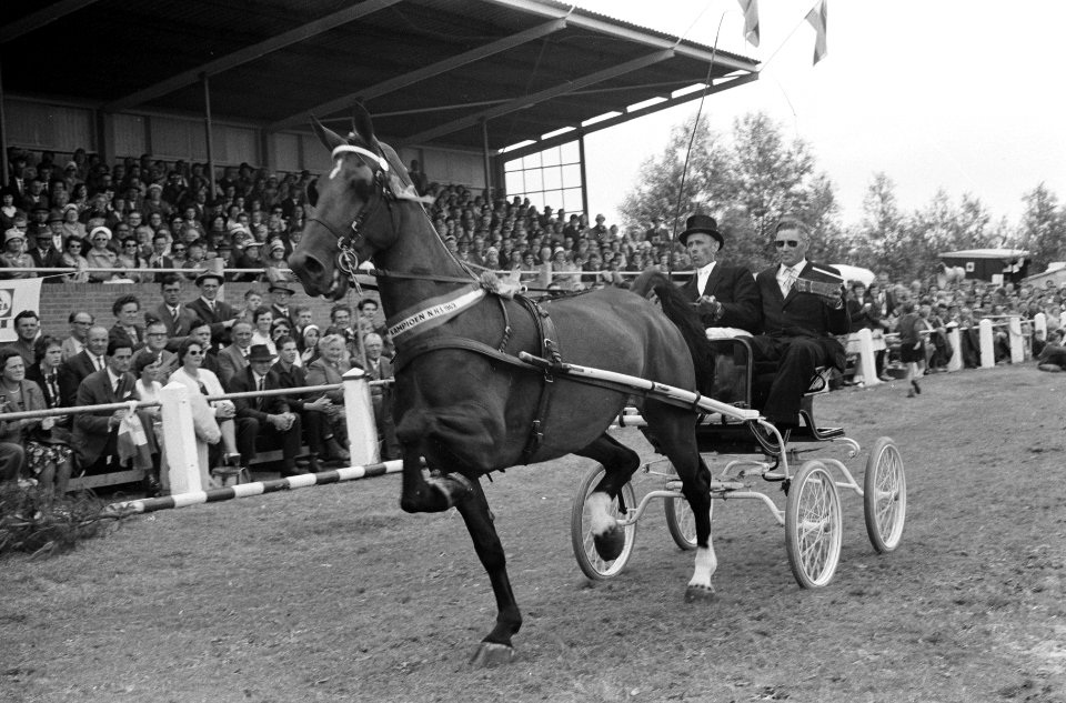 Concours Hippique te Hoofddorp, Bestanddeelnr 914-1369