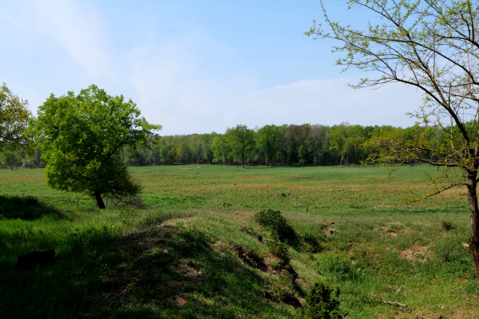 Döberitzer Heide open landscape 2020-05-08 122