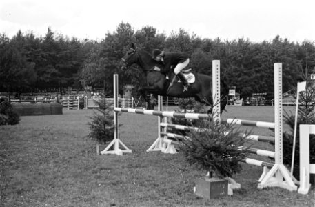 Concours Hippique te Rotterdam. Pia Arts met haar paard Weinbrand in aktie, Bestanddeelnr 915-4817