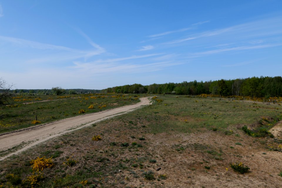 Döberitzer Heide Ferbitzer Bruch 2020-05-08 18