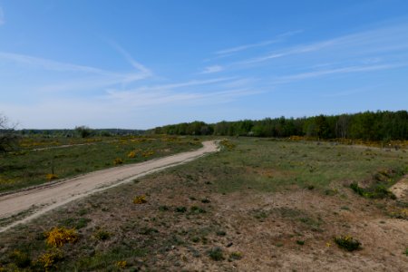 Döberitzer Heide Ferbitzer Bruch 2020-05-08 18