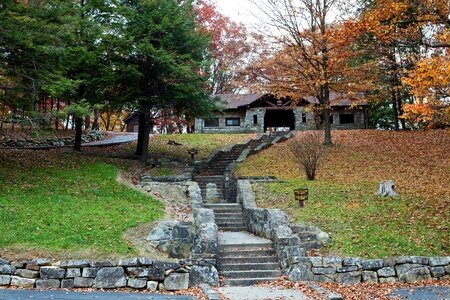 Trees picnic shelter steps