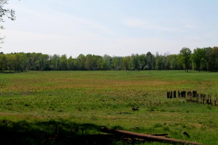 Döberitzer Heide open landscape 2020-05-08 135