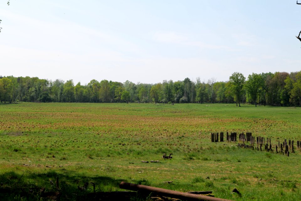Döberitzer Heide open landscape 2020-05-08 131