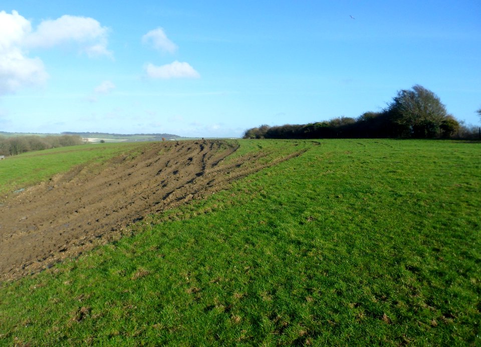 Coney Hill, Patcham, Brighton (February 2014) (8)