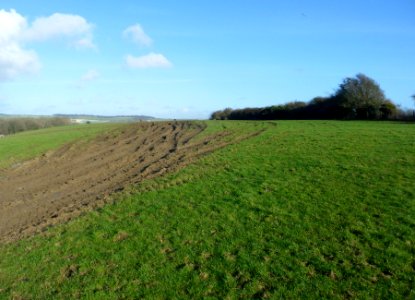 Coney Hill, Patcham, Brighton (February 2014) (8)