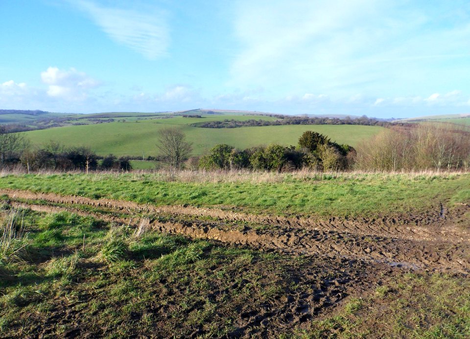 Coney Hill, Patcham, Brighton (February 2014) (9)