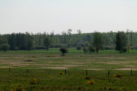 Döberitzer Heide Ferbitzer Bruch 2020-05-08 31