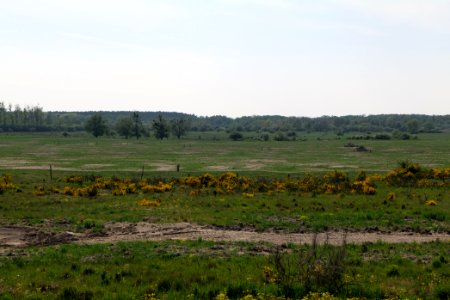 Döberitzer Heide Ferbitzer Bruch 2020-05-08 23