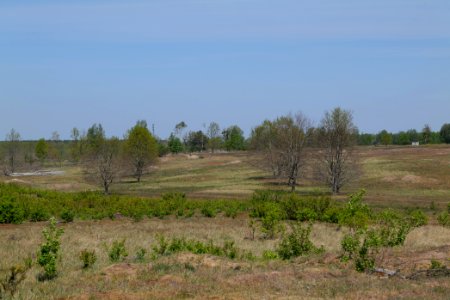 Döberitzer Heide open landscape 2020-05-08 04